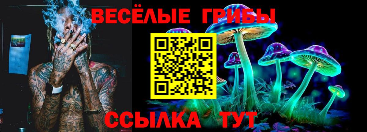 Геленджик  Галлюциногенные грибы Magic Shrooms  Галлюциногенные грибы GOLDEN TEACHER  Вход с VPN 